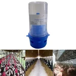 Made in India House Fly Catcher with Food & Gel Lure